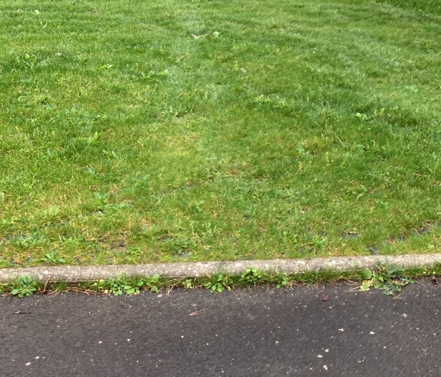 Parking en herbe avec dalles Alvéolées