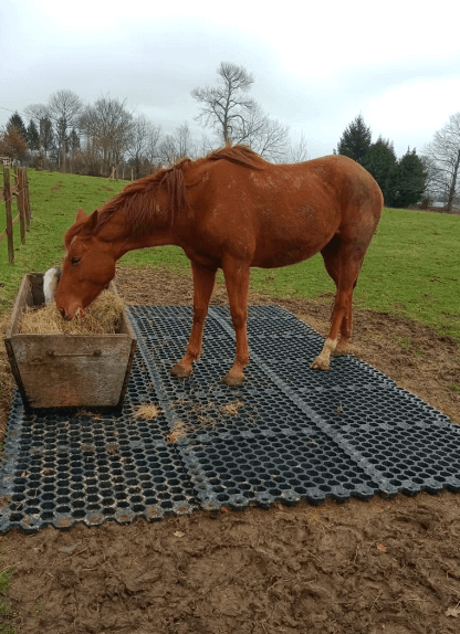 Dalle stabilisatrice et anti boue alvéolée pour chevaux autour des râteliers à foin - Valisol