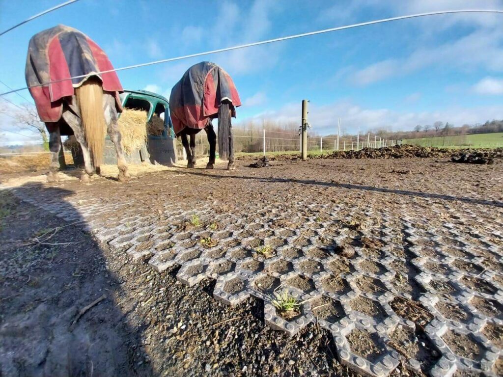 Dalle stabilisatrice Valisol - sécurité et confort des chevaux