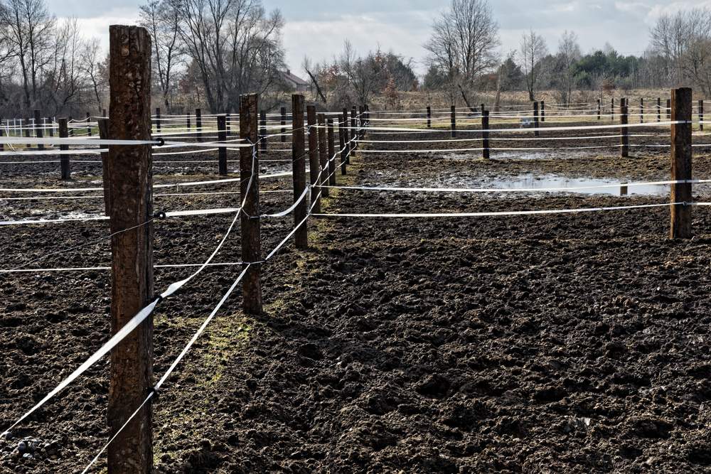 Paddocks gorgés de boue dus au piétinement