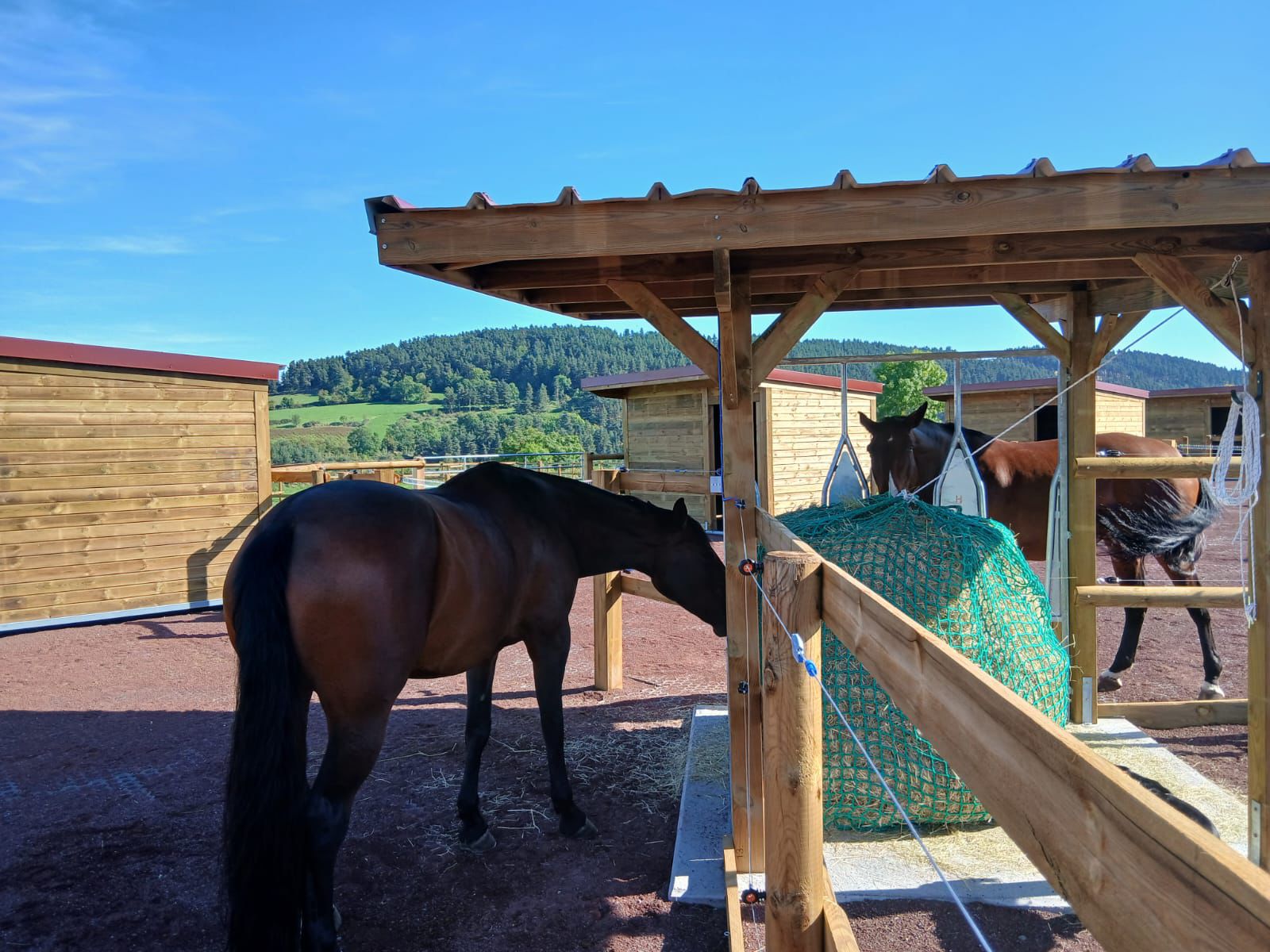 Zone de râtelier écurie active avec dalle stabilisatrice chevaux